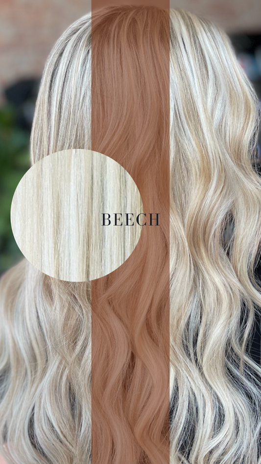 BEECH (100 Grams)