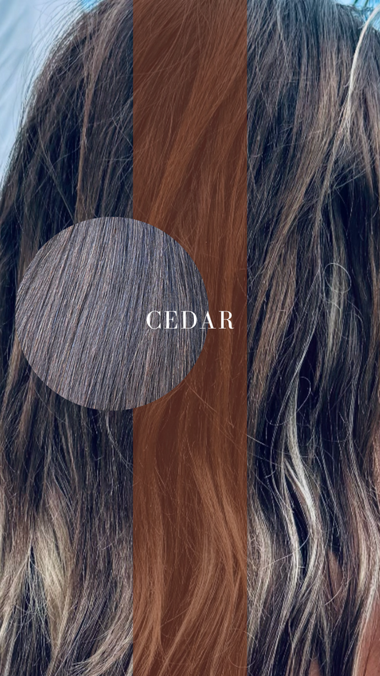 CEDAR (100 Grams)