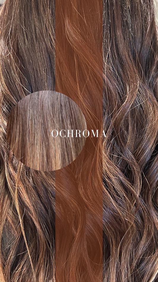 OCHROMA (100 Grams)